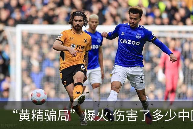 “黄精骗局”爆火:伤害了多少中国人……