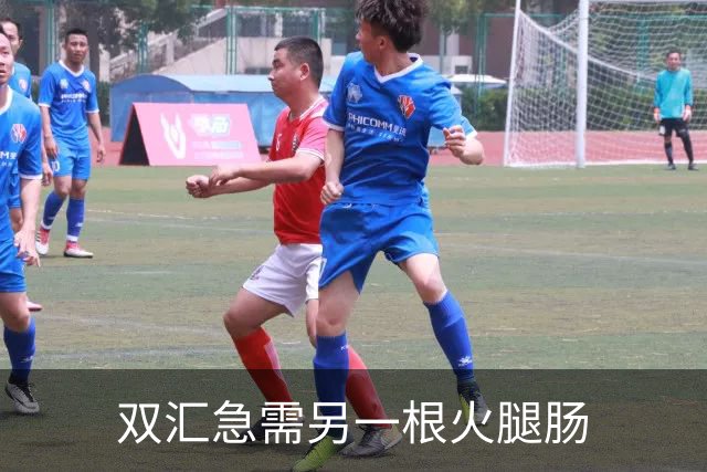 双汇急需另一根火腿肠