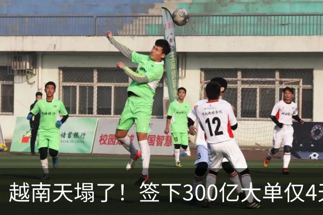 越南天塌了！签下300亿大单仅4天，中国新出一项公告，项目或流产